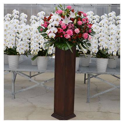 胡蝶蘭付きスタンド花 木製 花色選べる5色 000円 税別 180cm位 設置 回収無料 東京都 神奈川県 一部除く お祝い 開店 開業 開院 花 Wd Ko 000 Wood スタンド花専門 海老名洋蘭園 通販 Yahoo ショッピング