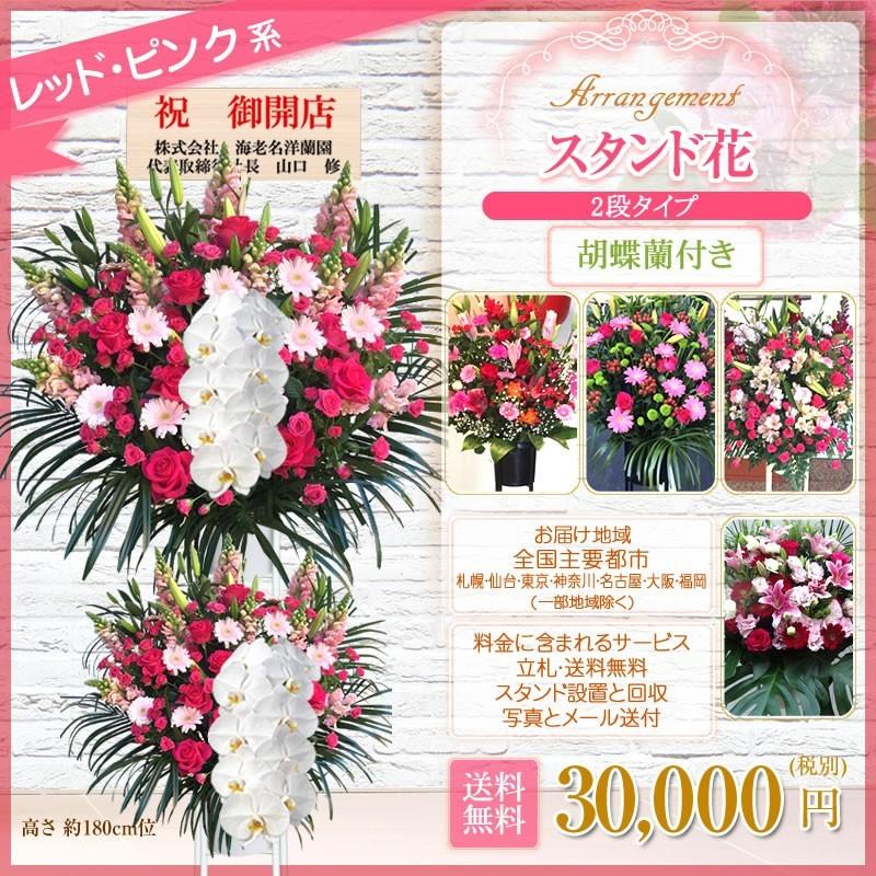 胡蝶蘭付きスタンド花(2段) 花色選べる5色 30000円(税別) 180cm位 設置