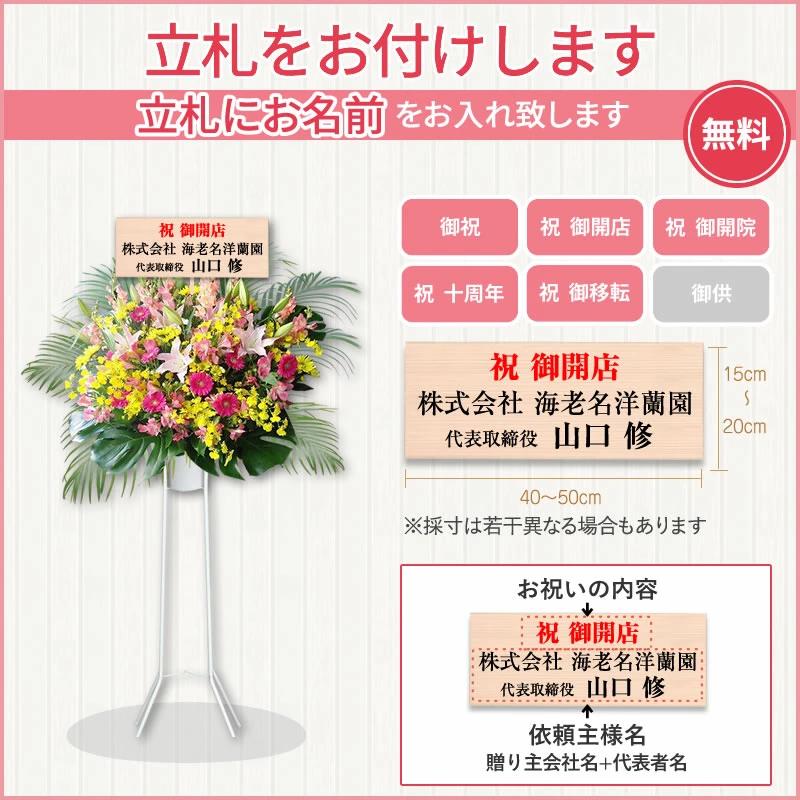 胡蝶蘭付きスタンド花(2段) 花色選べる5色 40000円(税別) 180cm位 設置