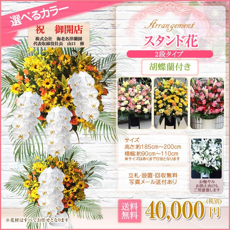 胡蝶蘭付きスタンド花(2段) 花色選べる5色 40000円(税別) 180cm位 設置