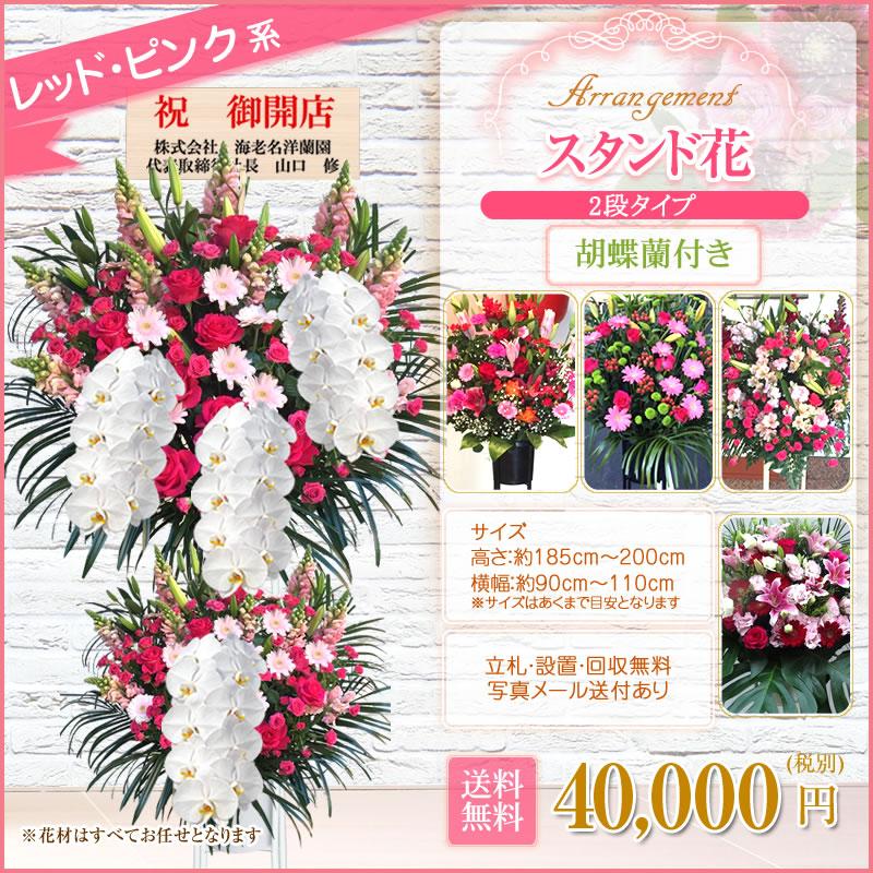 胡蝶蘭付きスタンド花(2段) 花色選べる5色 40000円(税別) 180cm位 設置