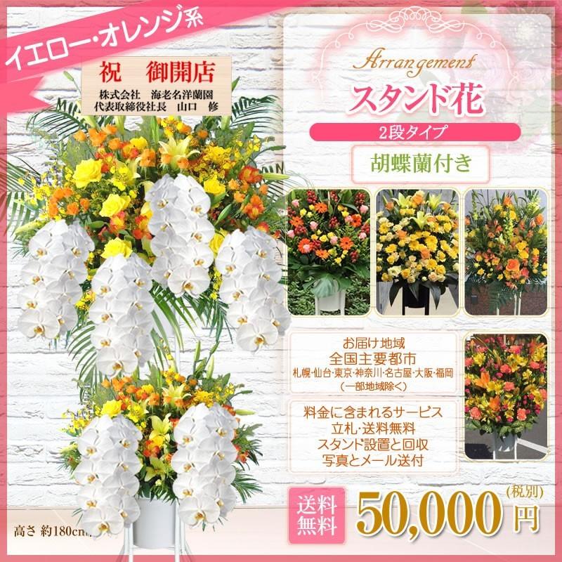 胡蝶蘭付きスタンド花(2段) 花色選べる5色 50000円(税別) 180cm位 設置