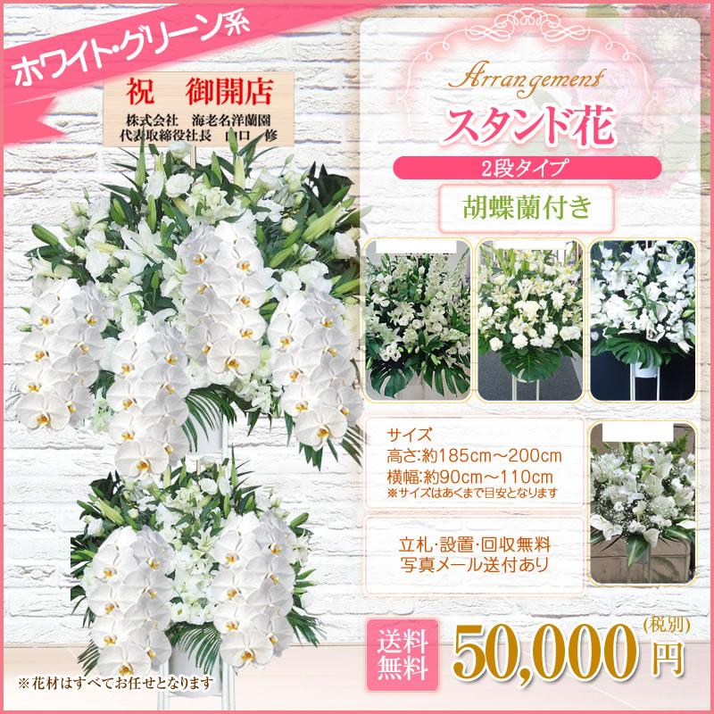 胡蝶蘭付きスタンド花(2段) 花色選べる5色 50000円(税別) 180cm位 設置