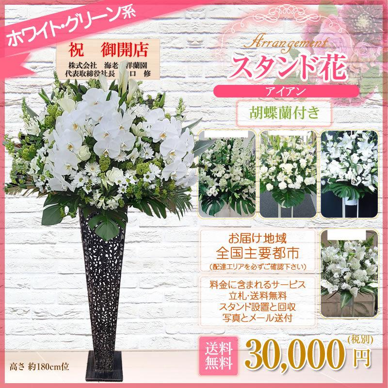 胡蝶蘭付きスタンド花(アイアン) 花色選べる5色 30000円(税別) 180cm位 設置＆回収無料 東京都 神奈川県 大阪府 お祝い 開店 開業 開院 花【stde】 |  | 16