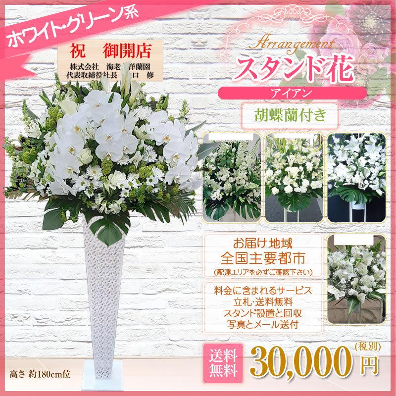 胡蝶蘭付きスタンド花(アイアン) 花色選べる5色 30000円(税別) 180cm位 設置＆回収無料 東京都 神奈川県 大阪府 お祝い 開店 開業 開院 花【stde】 |  | 17