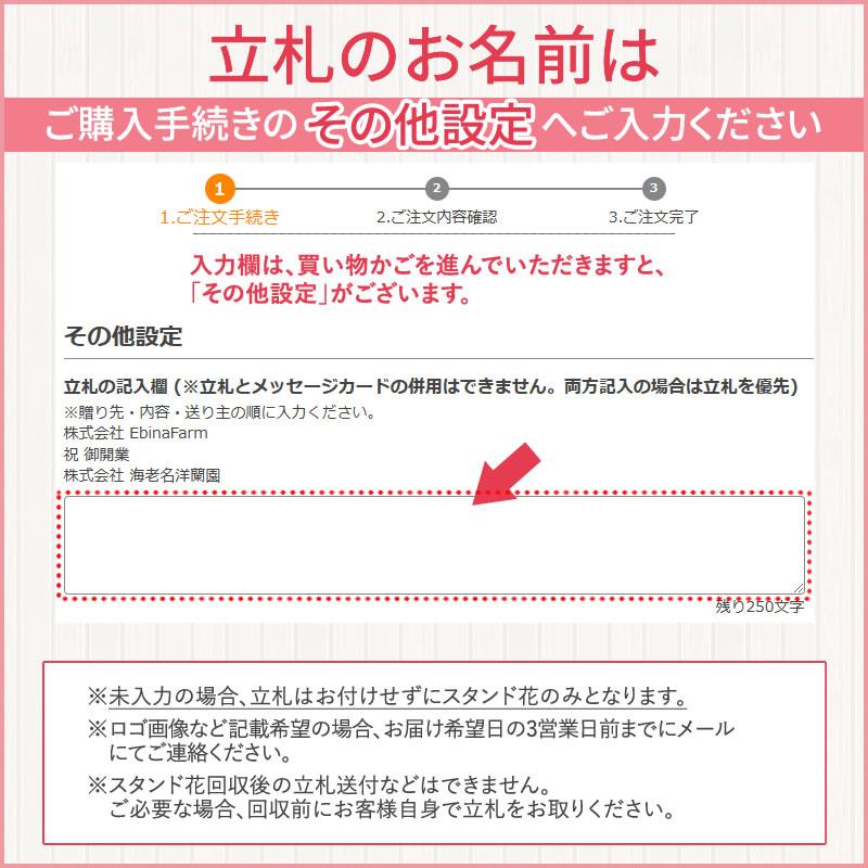 胡蝶蘭付きスタンド花(アイアン) 花色選べる5色 30000円(税別) 180cm位 設置＆回収無料 東京都 神奈川県 大阪府 お祝い 開店 開業 開院 花【stde】｜sutandobana｜24