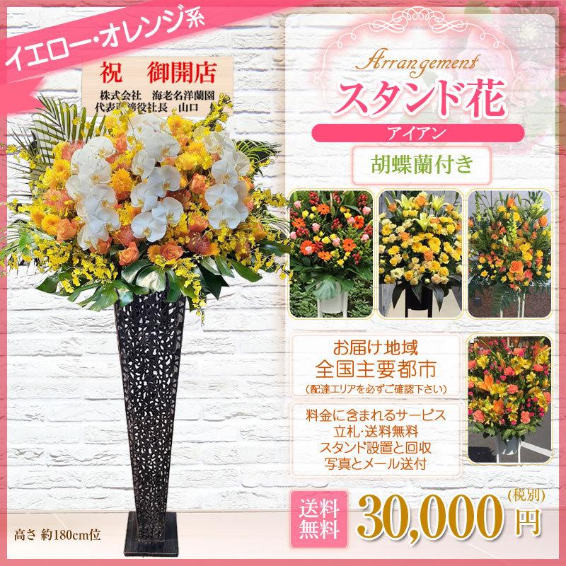 胡蝶蘭付きスタンド花(アイアン) 花色選べる5色 30000円(税別) 180cm位 設置＆回収無料 東京都 神奈川県 大阪府 お祝い 開店 開業 開院 花【stde】 |  | 08