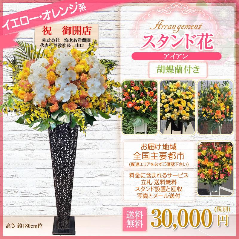 胡蝶蘭付きスタンド花(アイアン) 花色選べる5色 30000円(税別) 180cm位 設置＆回収無料 東京都 神奈川県 大阪府 お祝い 開店 開業 開院 花【stde】｜sutandobana｜09