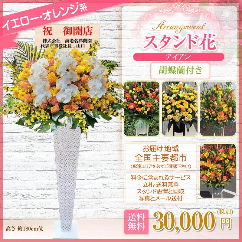 胡蝶蘭付きスタンド花(アイアン) 花色選べる5色 30000円(税別) 180cm位 設置＆回収無料 東京都 神奈川県 大阪府 お祝い 開店 開業 開院 花【stde】 |  | 09