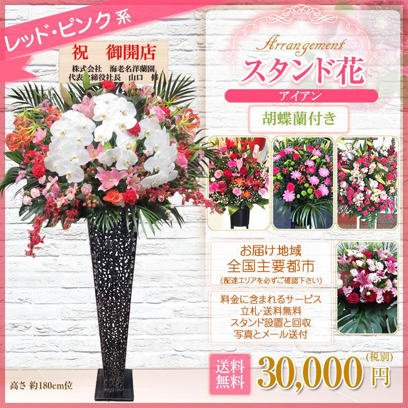 胡蝶蘭付きスタンド花(アイアン) 花色選べる5色 30000円(税別) 180cm位 設置＆回収無料 東京都 神奈川県 大阪府 お祝い 開店 開業 開院 花【stde】 |  | 10