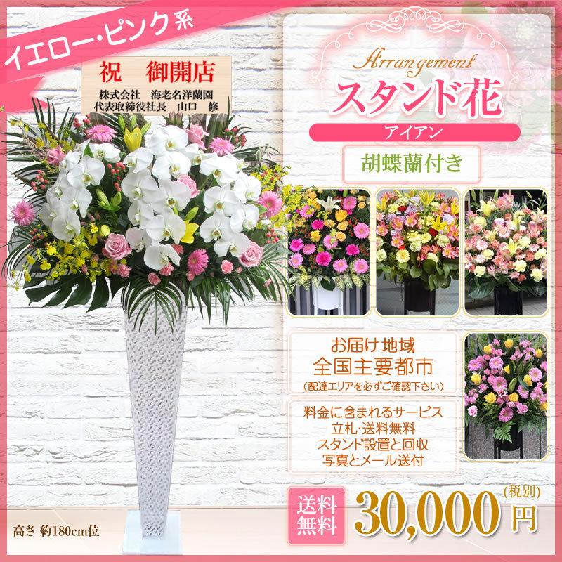 胡蝶蘭付きスタンド花(アイアン) 花色選べる5色 30000円(税別) 180cm位