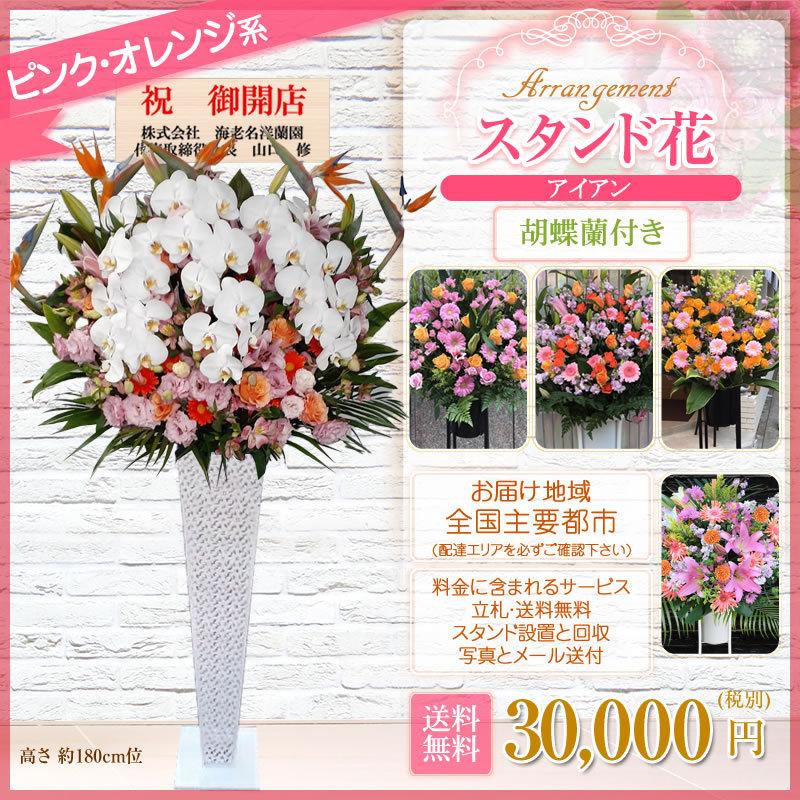 胡蝶蘭付きスタンド花(アイアン) 花色選べる5色 30000円(税別) 180cm位 設置＆回収無料 東京都 神奈川県 大阪府 お祝い 開店 開業 開院 花【stde】 |  | 15