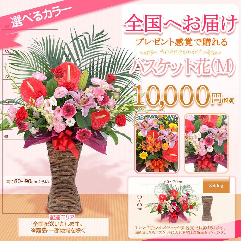 バスケット花 M 色指定 円 税別 花色選べる5色 80cm位 お祝い 開店 開業 開院 花 お供え フラワーギフト St Bsk St Bsk スタンド花専門 海老名洋蘭園 通販 Yahoo ショッピング