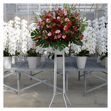 スタンド花 1段 花色選べる5色 13 000円 税別 180cm位 設置 回収無料 東京都 神奈川県 大阪府 名古屋市 福岡市 お祝い 開店 開業 開院 花 Stde 宅送