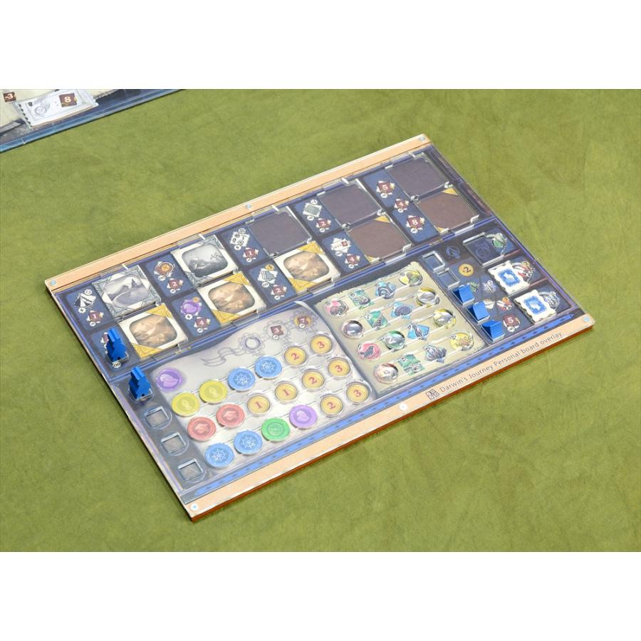 ダーウィンズ・ジャーニー 通常オーバーレイ×4枚&ソロ用オーバーレイ1