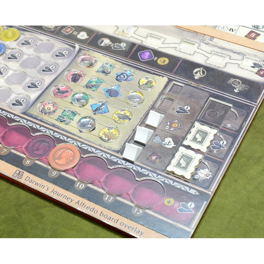 ダーウィンズ・ジャーニー 通常オーバーレイ×4枚&ソロ用オーバーレイ1