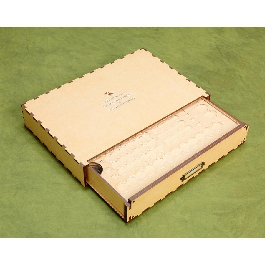 ダーウィンズ・ジャーニー 通常オーバーレイ×4枚&ソロ用オーバーレイ1