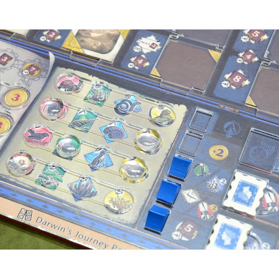 ダーウィンズ・ジャーニー 通常オーバーレイ×2枚 ボードゲーム