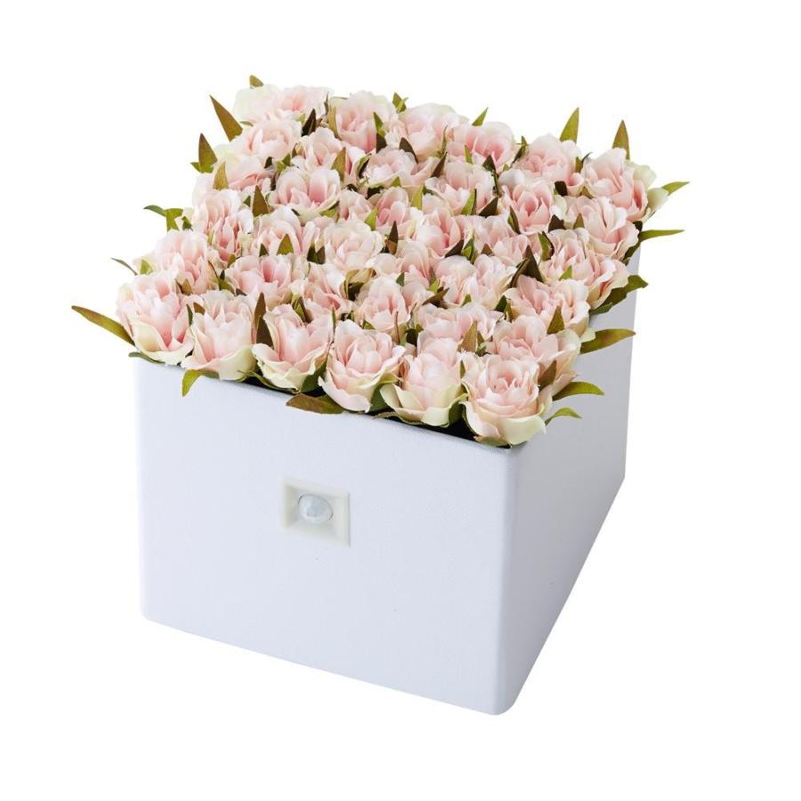 ポイント10倍 Formosa フォルモサ Yuji Kobayashi 人感センサー付き Ledライト フラワーアレンジ Rose Cube ピンク Ff Rcb Pk ガーデニング 花 植物 ｄｉｙ 大流行中 Www Tiebreak Fr