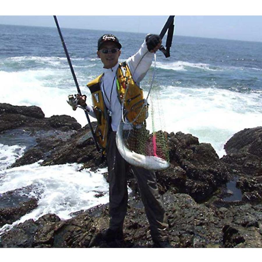 タモ網 磯玉セット 玉網 伸縮 小継玉の柄 カーボン 超軽量 釣りタモ 玉ノ柄 ランディングポール 淡水海水両用 3m A1e 素敵な暮らし 通販 Yahoo ショッピング