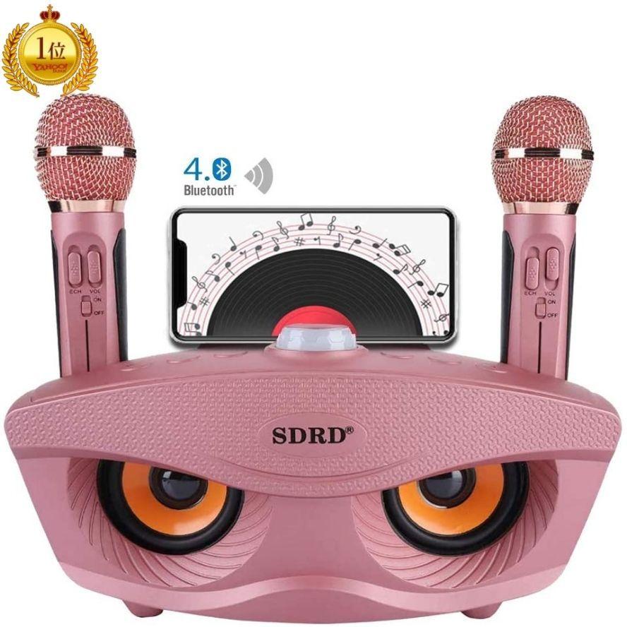 完売 カラオケマイク Bluetooth 家庭用 ワイヤレスマイク 高音質 多機能 ノイズキャンセリング機能 スピーカーマイクセット 手持ちマイク2本 新品即決 Www Sei Ba Gov Br