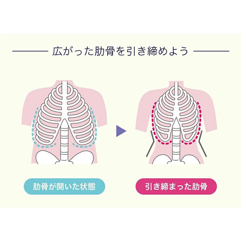 マタニティ 骨盤 産後 インナー ウエスト 骨盤ベルト ガードル くびれ 姿勢 骨盤ガードル 犬印 犬印本舗 美ボディメイク 肋骨ベルト N2700 1 1 Elena 通販 Yahoo ショッピング