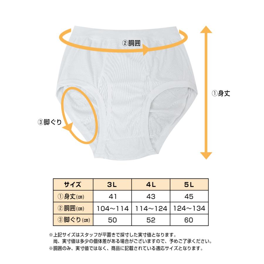 ブリーフ 綿100% 大きいサイズ 2枚組×5セット 3L 4L 5L 前あき メンズ