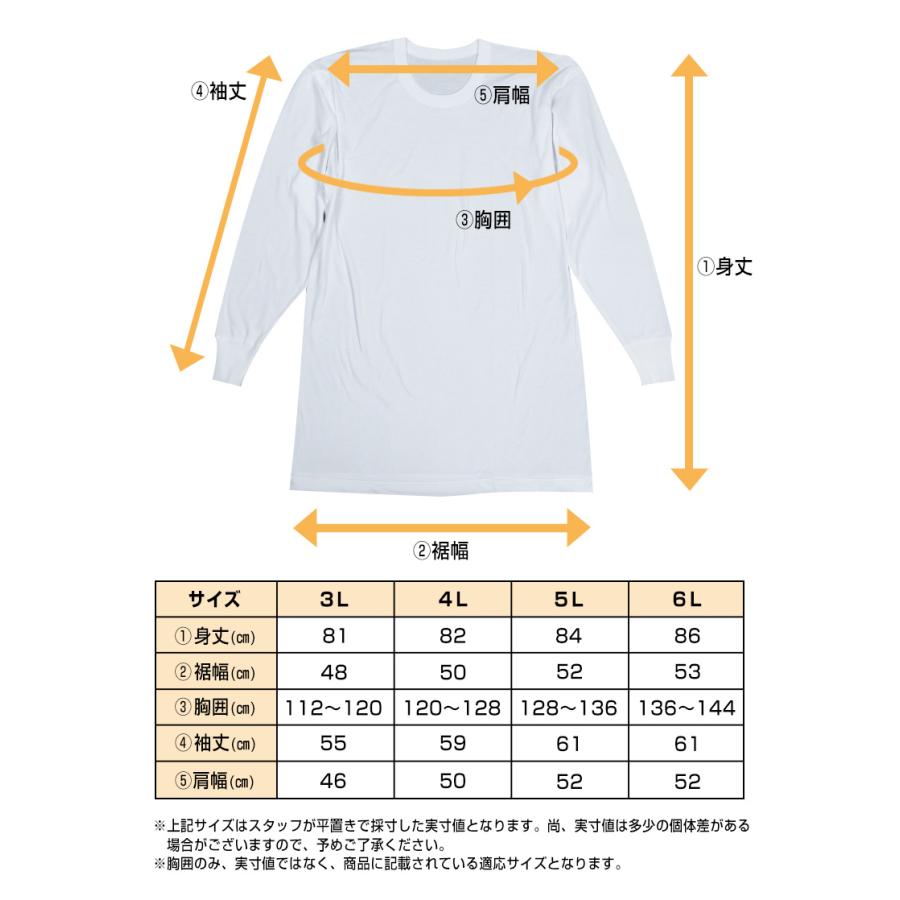 綿100％ 長袖 丸首 シャツ 2枚組 フライス 3L 4L 5L 6L メンズ 肌着