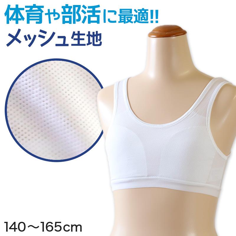 ジャーナル ヨーロッパ 法王 中学生 スポブラ Smerfspecialmarkets Com