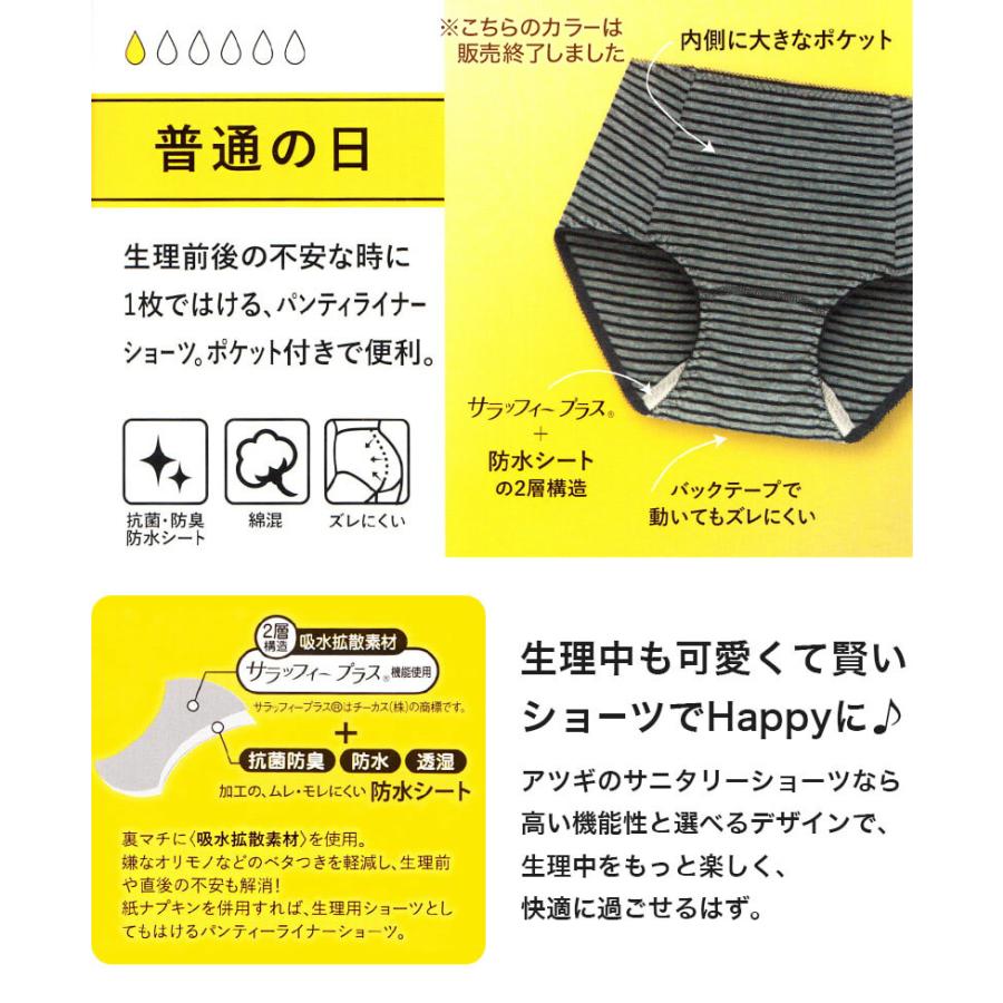 アツギ サニタリーショーツ ポケット付き 生理用ショーツ 普通の日 パンティライナーショーツ M L 綿 おりもの 生理前 パンツ 下着 インナー レディース 女性 At033 すててこねっと 通販 Yahoo ショッピング