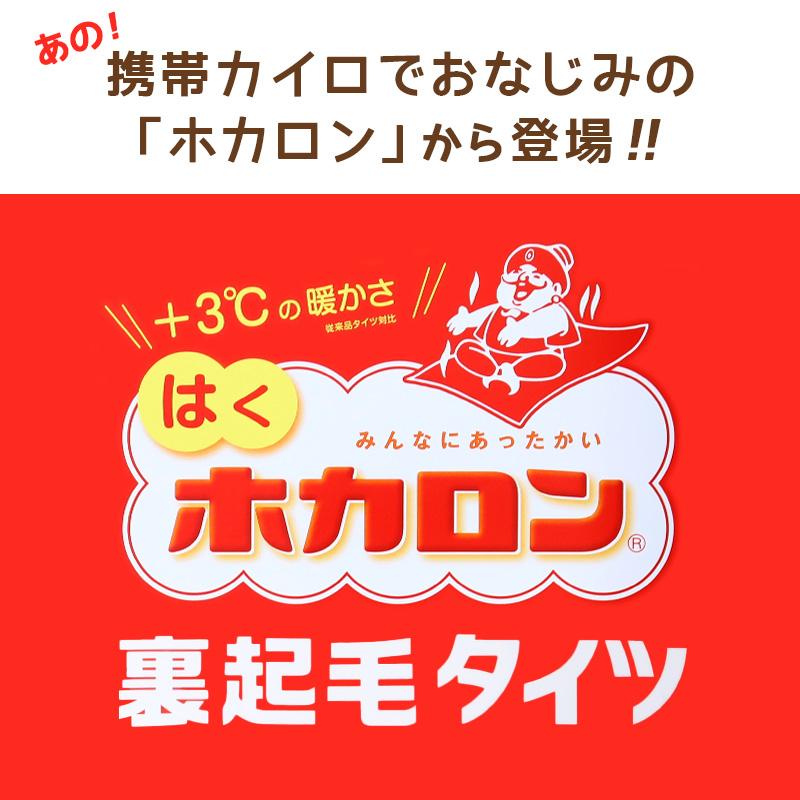 ホカロン タイツ 裏起毛 発熱タイツ レディース 裏起毛タイツ