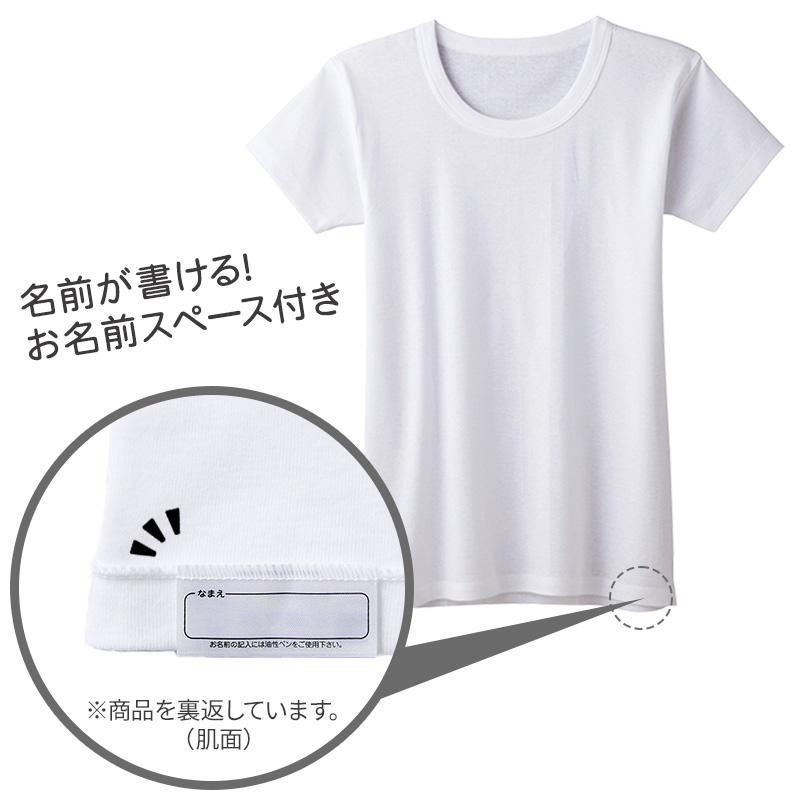 グンゼ 子供 肌着 半袖 男の子 綿100% キッズ インナー 丸首 襟広め 2  