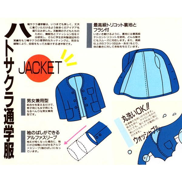 学生服 小学生 制服 上着 男子 女子 140cmA〜160cmA (鳩サクラ