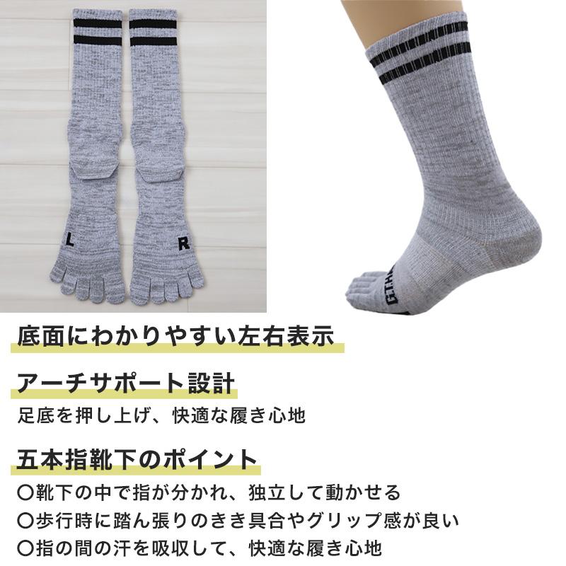 GUNZE（グンゼ） GTホーキンス 5本指ソックス メンズ 靴下 3足組 25