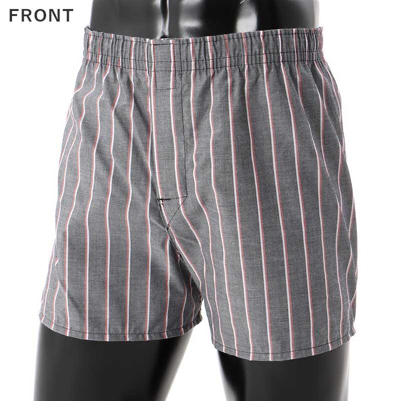 Hanes（ヘインズ） トランクス メンズ 前開き 2枚組 M〜LL Hanes 下着