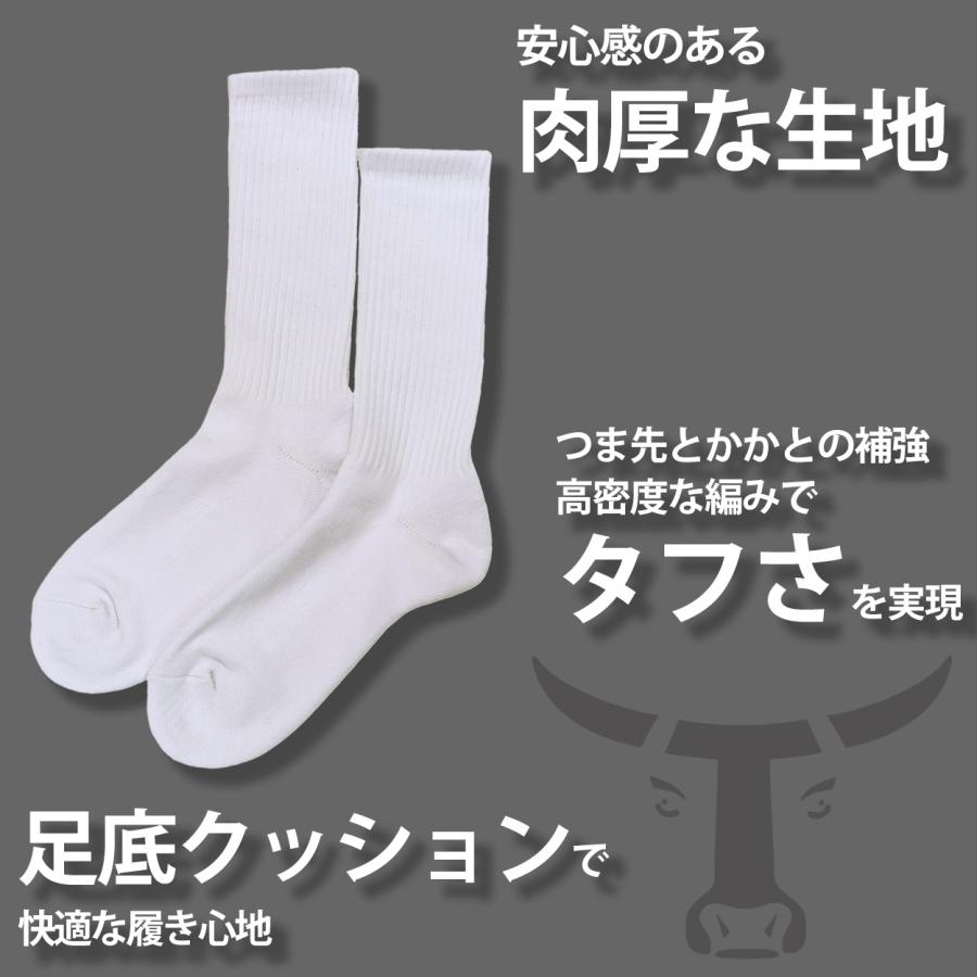 Hanes（ヘインズ） ビーフィー 靴下 メンズ 丈夫 フルレングス