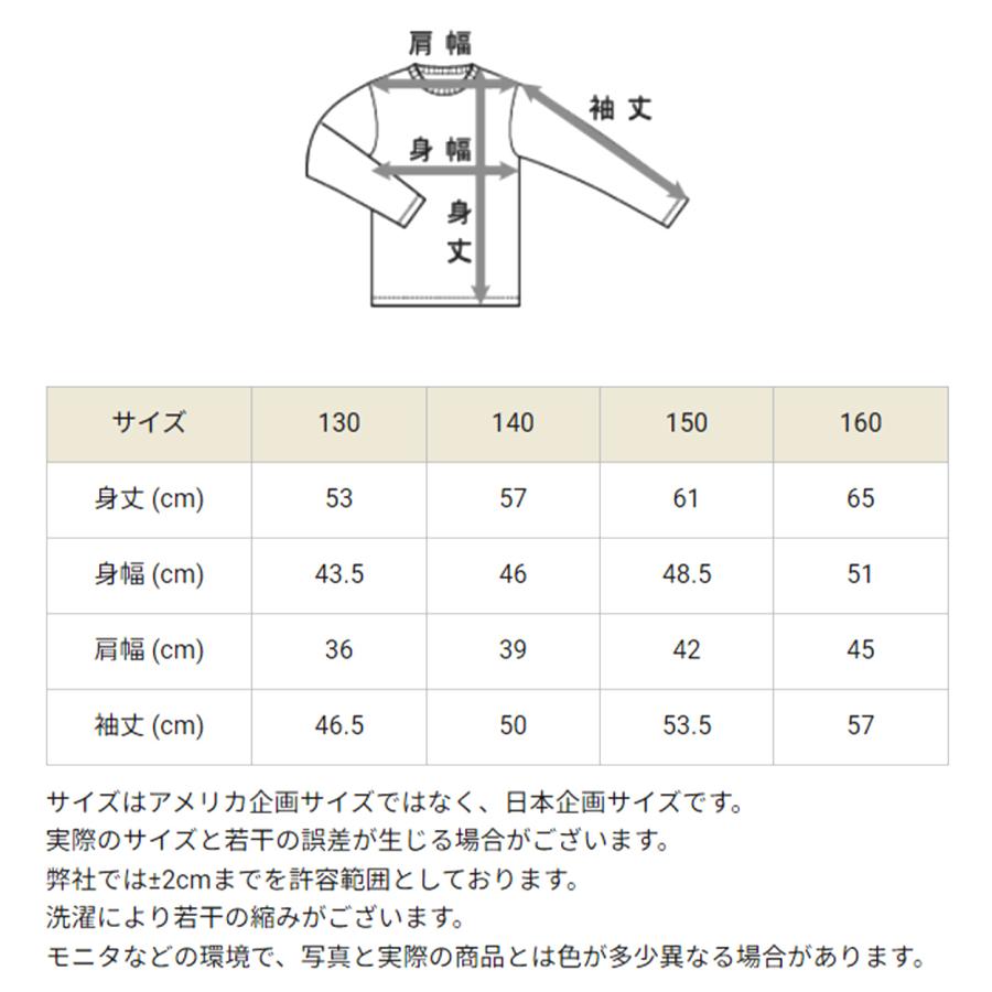 男の子　秋冬　110 まとめ売り　100サイズ　110サイズ 男の子 秋冬 110 まとめ売り 100サイズ 110サイズ 男の子 秋冬