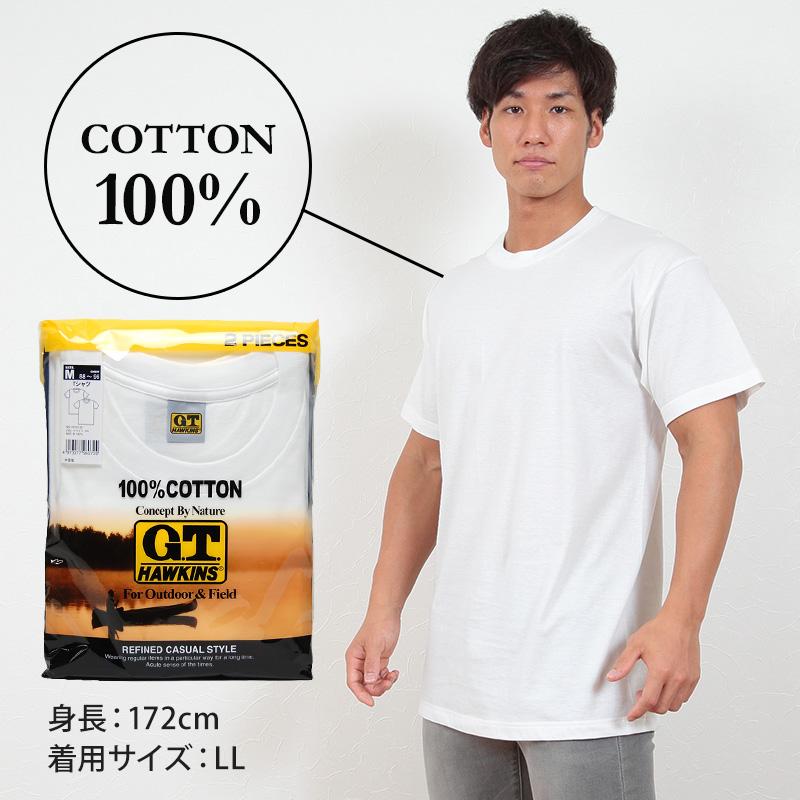 GUNZE（グンゼ） Tシャツ メンズ 半袖 綿100% 2枚組 M〜LL (下着