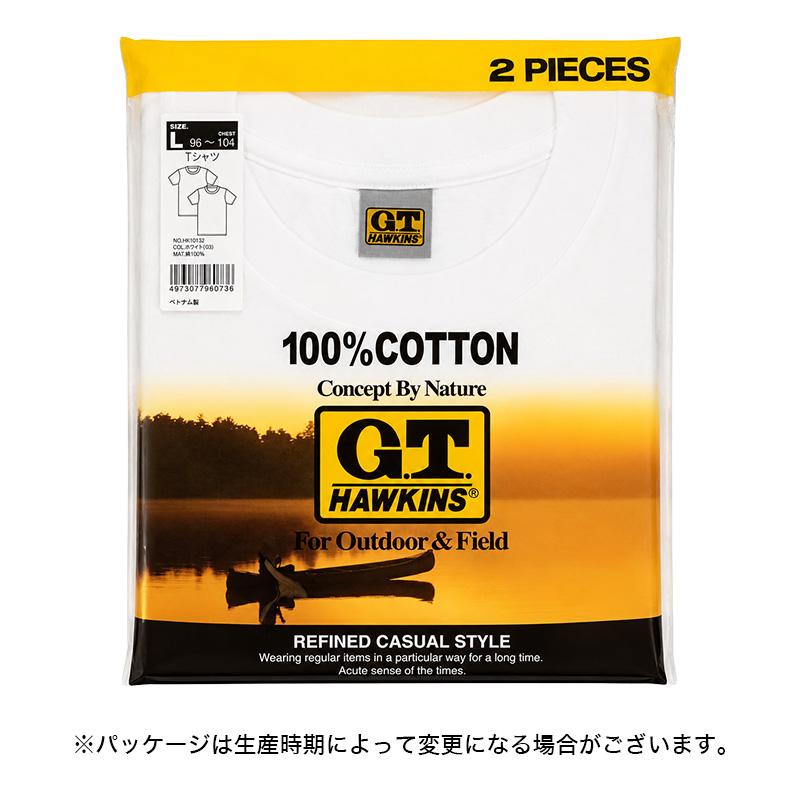 GUNZE（グンゼ） Tシャツ メンズ 半袖 綿100% 2枚組 M〜LL (下着