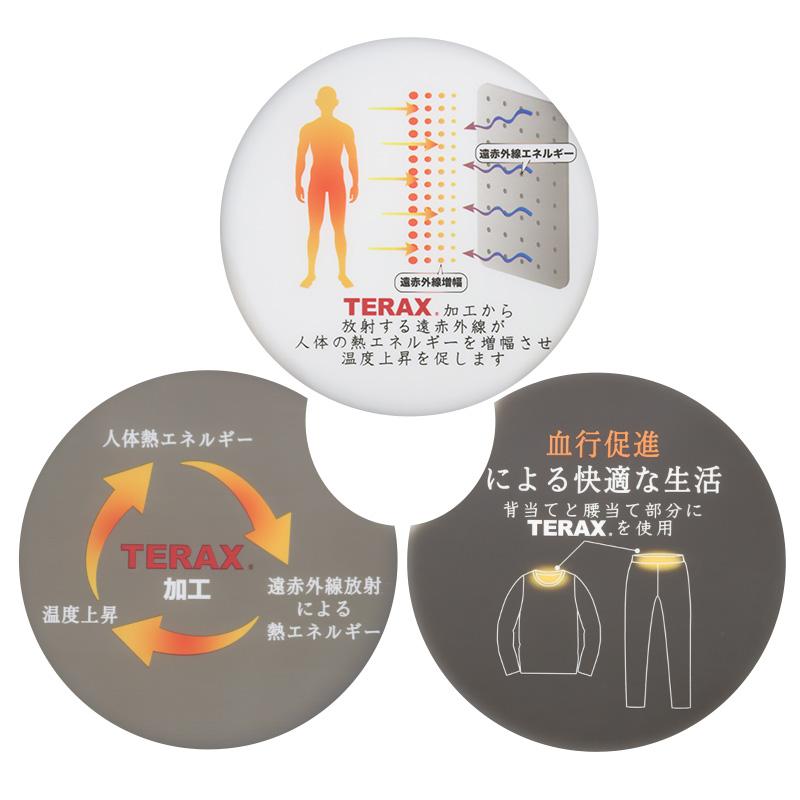 メンズ スウェット 上下セット トレーナー ミニ裏毛 ストレッチ TERAX