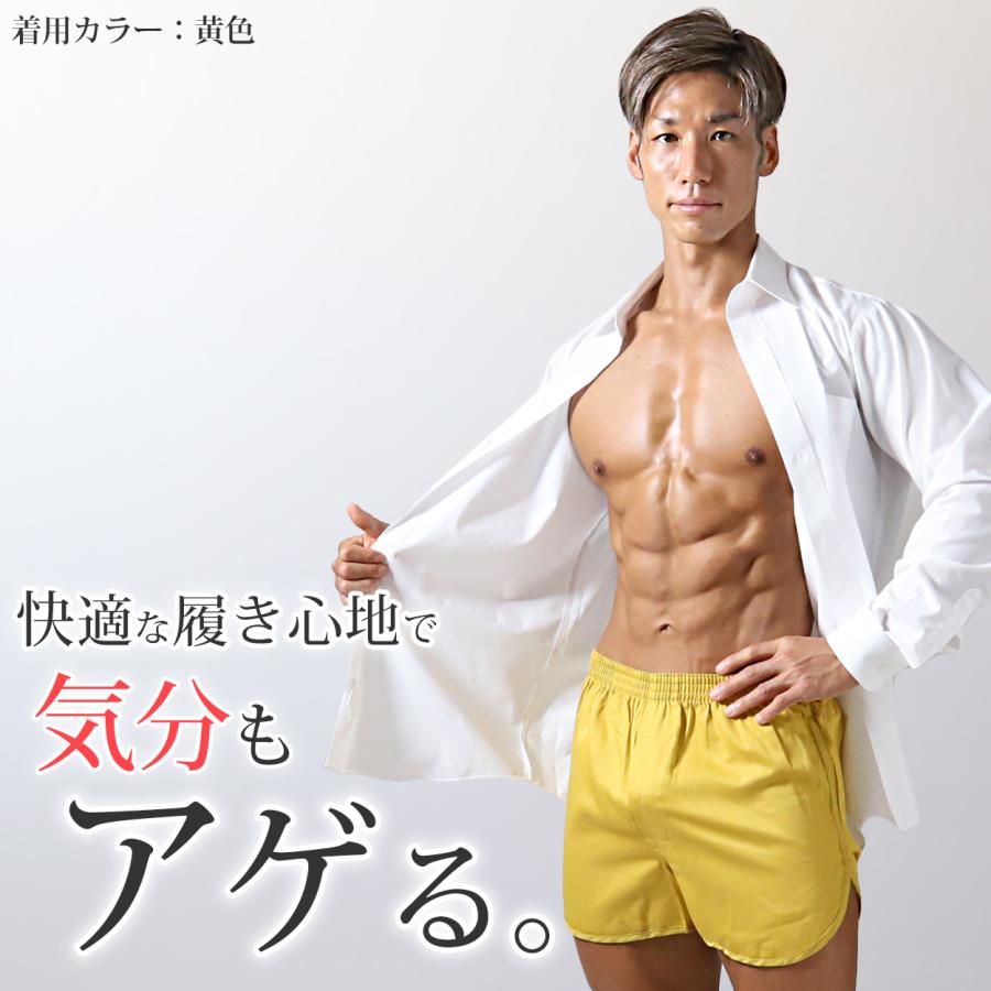 Suteteko（ステテコ） トランクス メンズ 綿100% 前開き 大きいサイズ