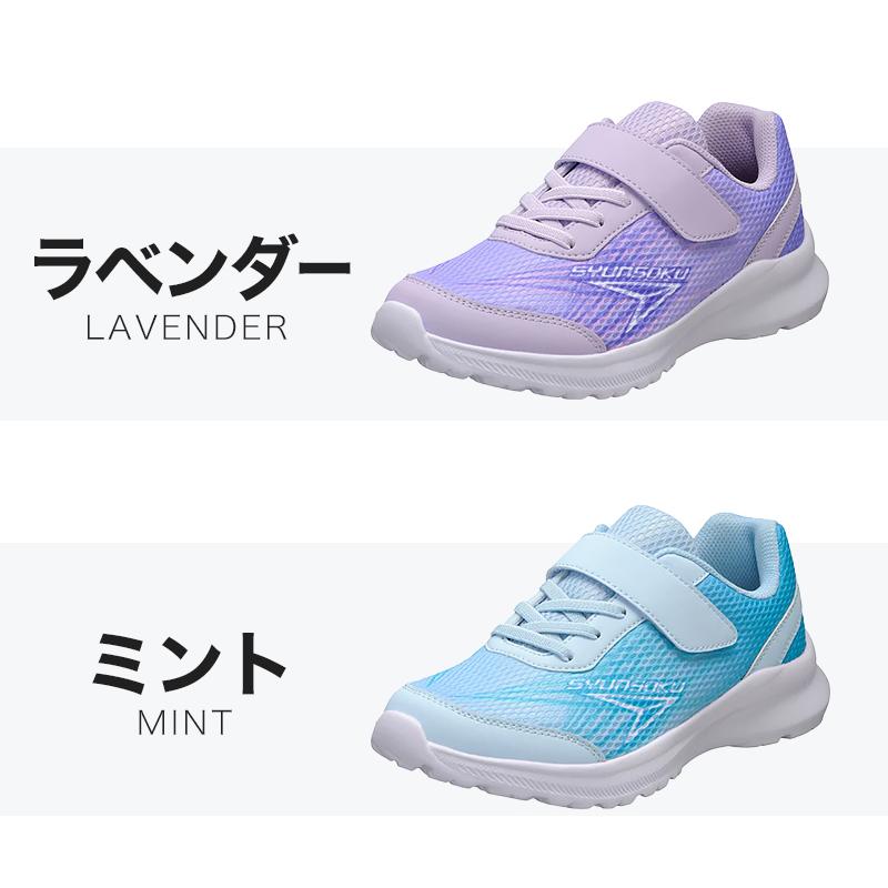 メンテ済 140cm 靴24cm PURE CONSCIOUS 子供用スキーセッ メンテ済 140cm 靴24cm PURE CONSCIOUS 子供用スキーセッ 2025年