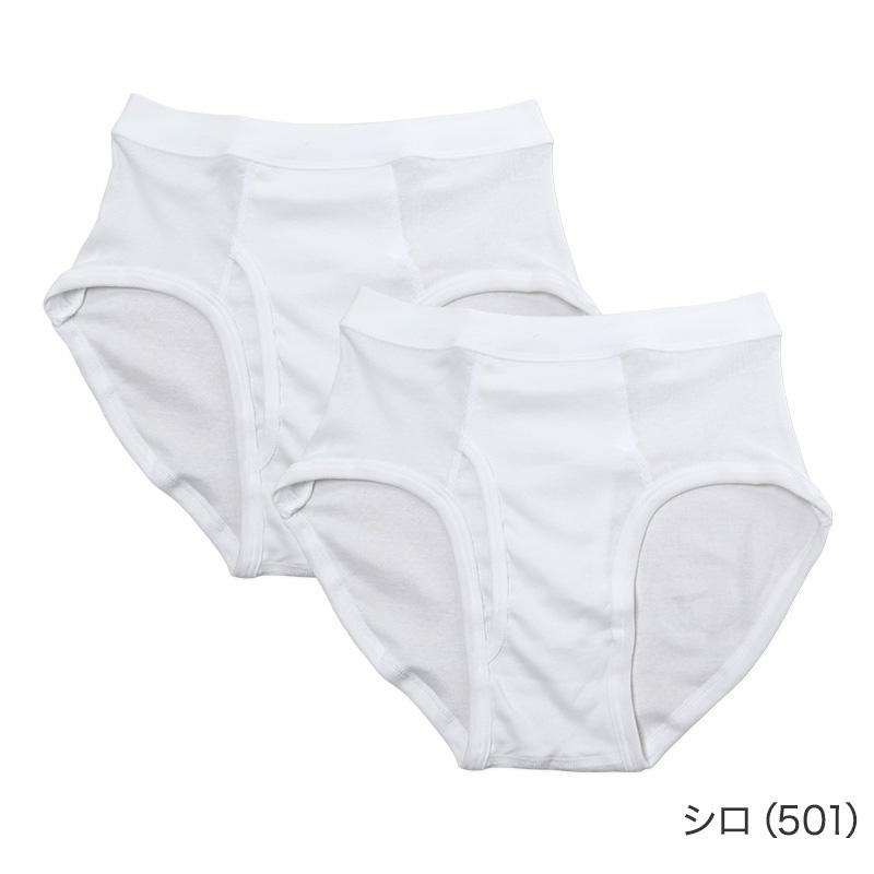 メンズ ブリーフ 綿素材 抗菌防臭 2枚組 前開き 天スパン 薄手 CARON