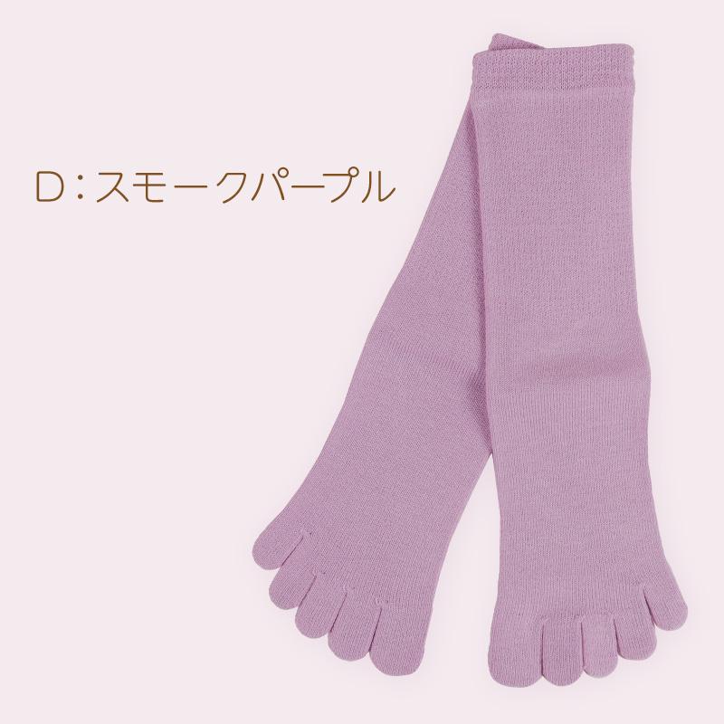 靴下16 Suteteko（ステテコ） 5本指靴下 子供 クルーソックス 16-18cm・19