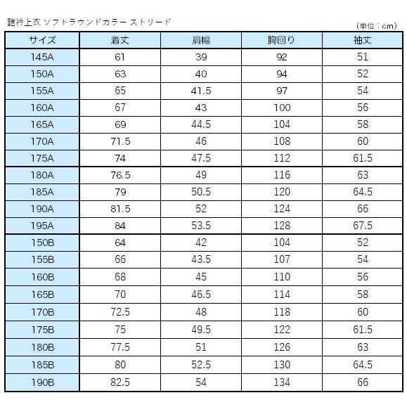 学生服 詰衿上衣 ソフトラウンドカラー ストリード 145cmA〜175cmA