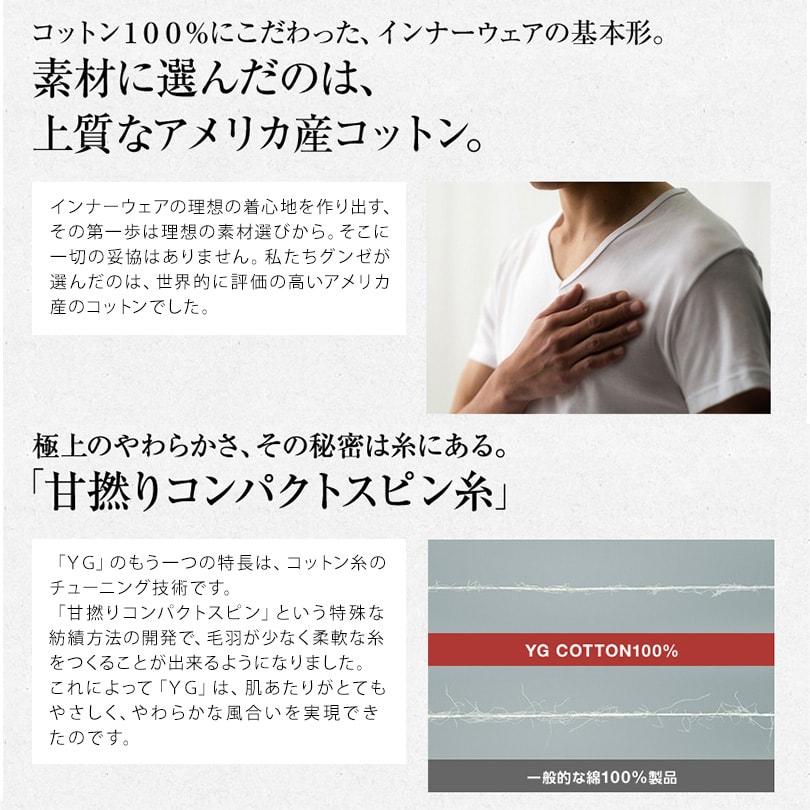 YG グンゼ セミビキニブリーフ メンズ ブリーフ 綿100% 前開き M