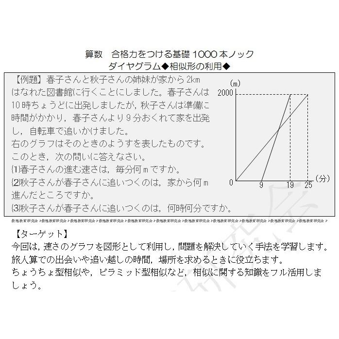 数理教育研究会 算数プリント 合格力をつける基礎１０００本ノックとテストのセット 数理教育研究会 算数プリント 合格力をつける基礎1000本