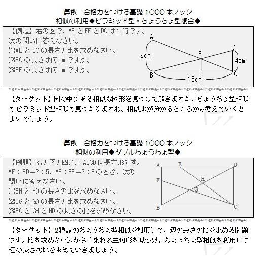 数理教育研究会 算数プリント 合格力をつける基礎１０００本ノックとテストのセット 算数合格力をつける基礎1000本ノック-相似の利用(下) : 数理教育研究会
