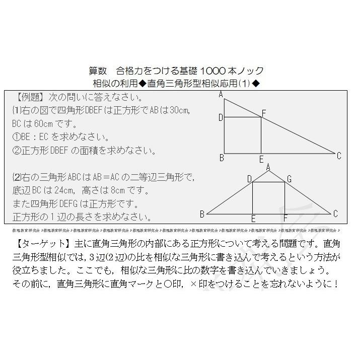 算数合格力をつける基礎1000本ノック-相似の利用(下) : 数理教育研究会
