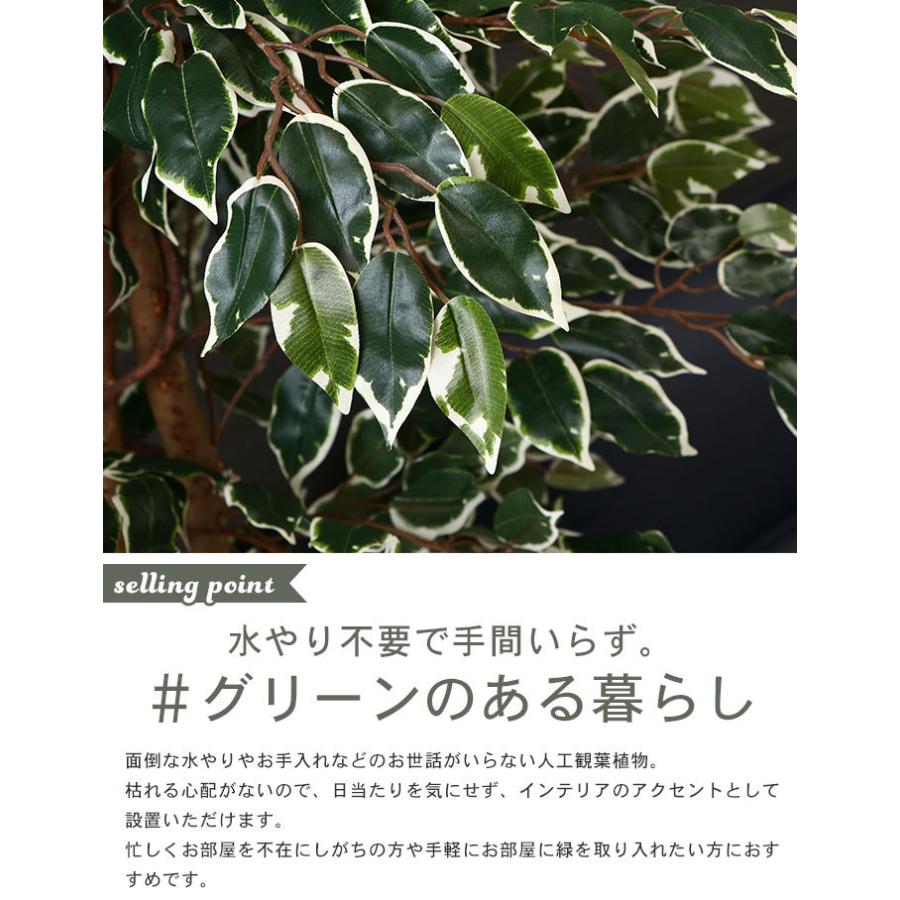 時間指定不可 イミテーション フィカス 人工 植物 高さ 170cm 7号鉢対応 鉢植え フェイクグリーン 観葉植物 造花 インテリア 室内 鉢 目隠し リビング 内祝い Www Fedelatina Org